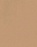 Miroir 51 cm x 141 cm